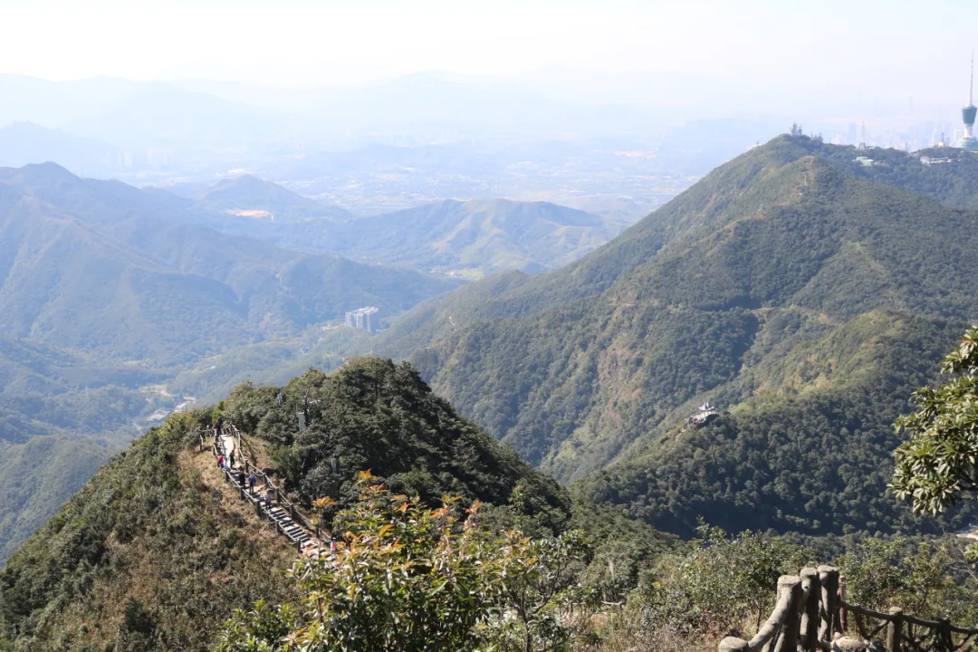 海普天丨市場部團建活動---梧桐山之旅......(圖15)