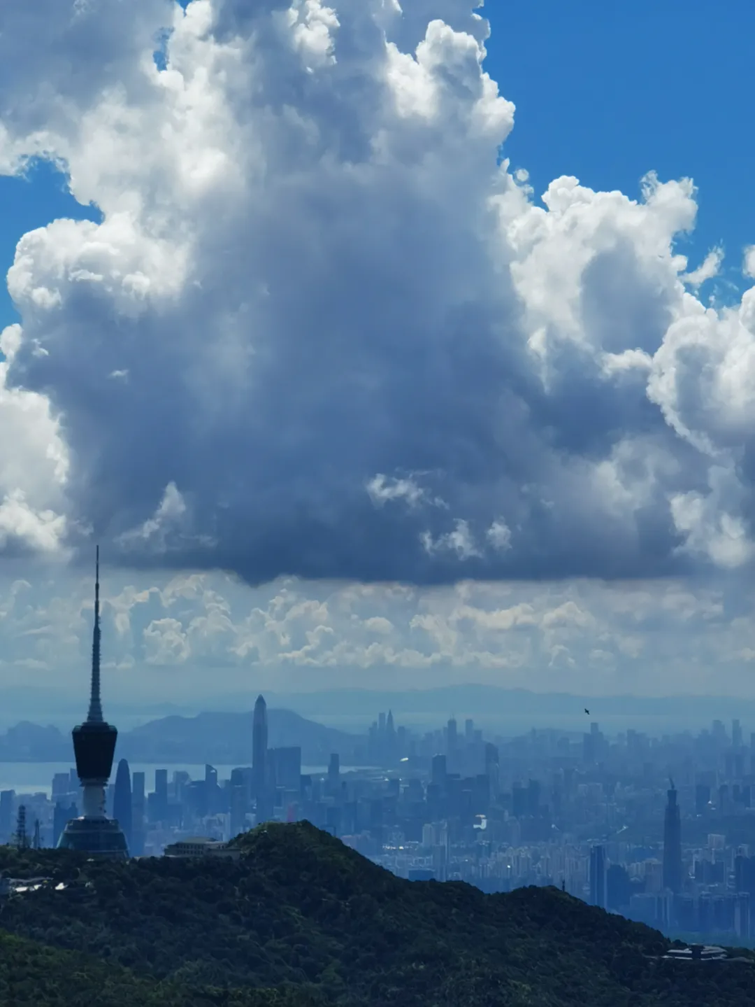 海普天丨市場部團建活動---梧桐山之旅......(圖19)